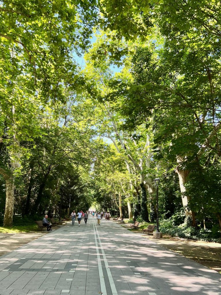 Paseo del Príncipe.